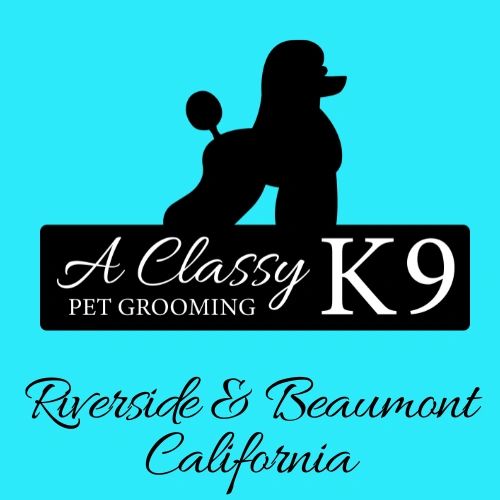 Classy k9 discount mobile grooming